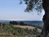 Pianura Metapontina